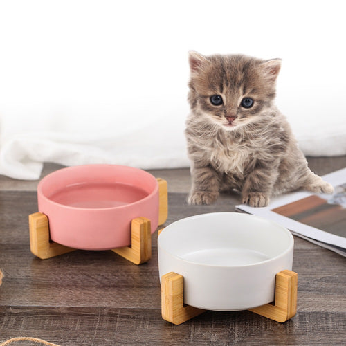 Gamelle Design en Céramique avec Support Bois – Chat & Petit Chien