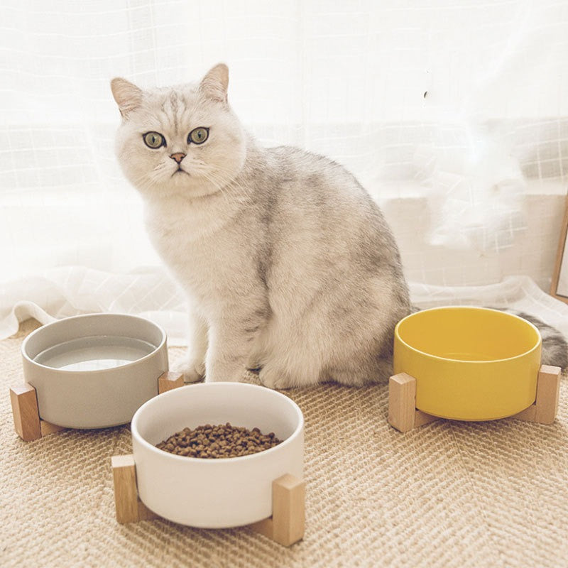 Gamelle Design en Céramique avec Support Bois – Chat & Petit Chien