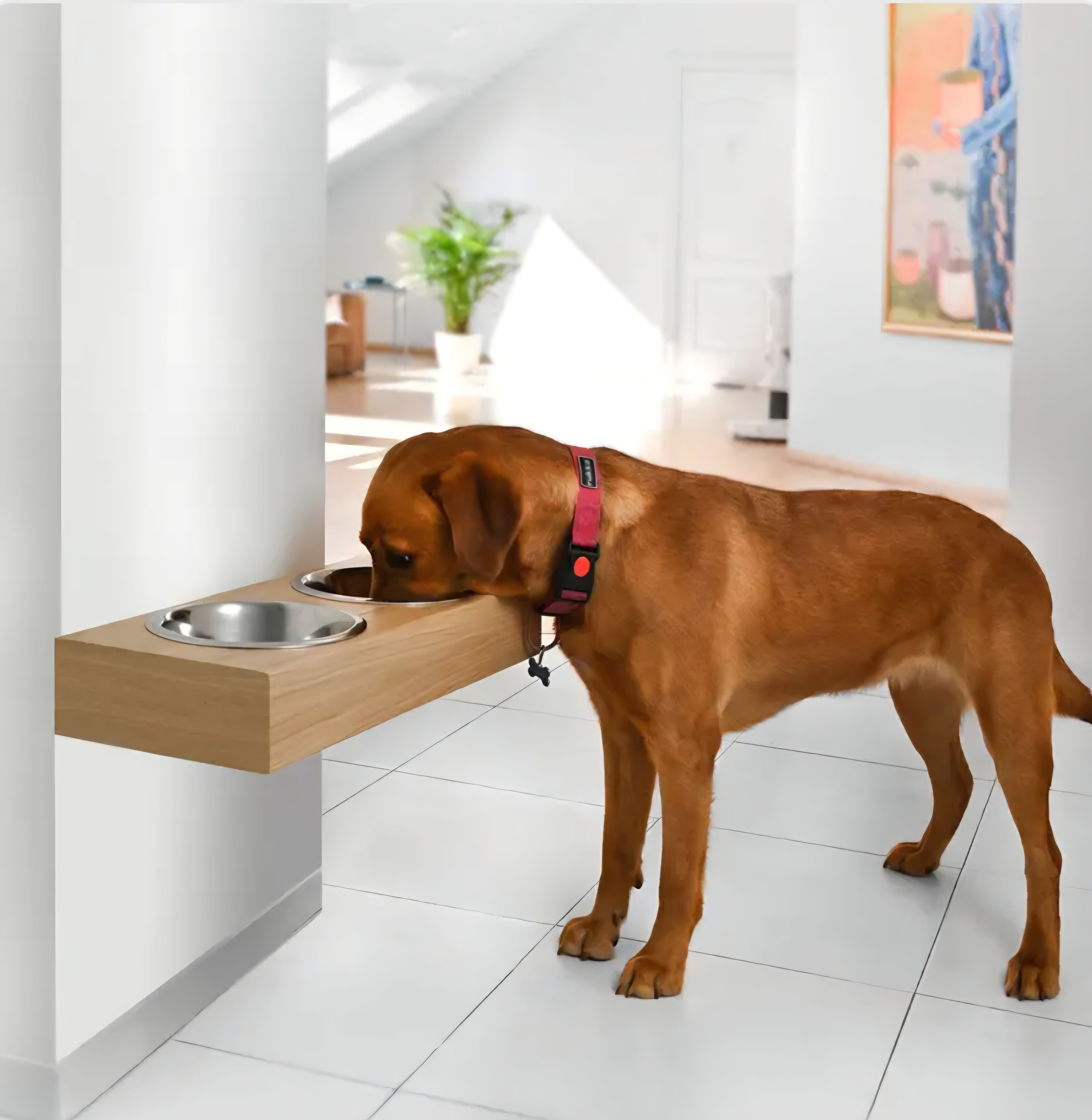 station repas design en bois - gamelles suspendus