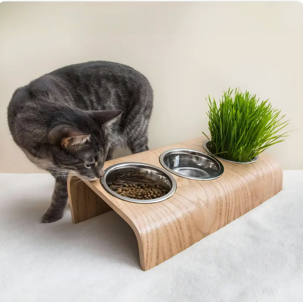 Gamelle design surélevée en bois – 3 bols – Chat & petit chien